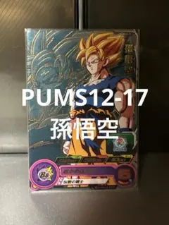 孫悟空 PUMS13-SEC - メルカリ