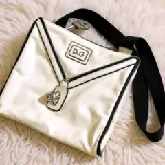 【状態良好】ドルガバ D&G ジップデザイン ショルダーバッグ サコッシュ