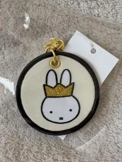 Item thumbnail for item 51212a3f-29d3-444c-b2e8-e822e8be0751