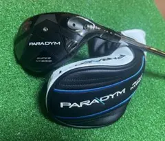 Item thumbnail for item 6cb57a69-503d-49c8-997b-584fe992a2f2