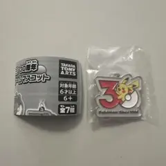 ポケモン 30周年メタルチャームマスコット ピカチュウ