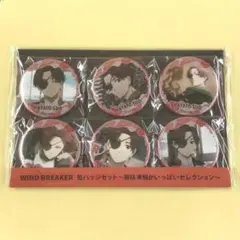 新品 WIND BREAKER 缶バッジセット 蘇枋 隼飛がいっぱいセレクション