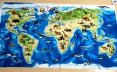 世界地図柄 · 58cm · Elizabeth‘s Studios