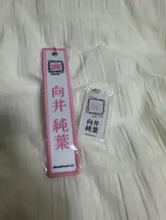 向井純葉 まとめ売り