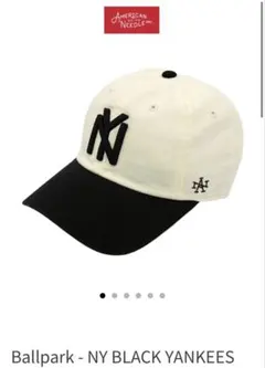 American Needle Ballpark NY BY