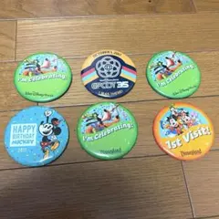 【限定・非売品】海外ディズニー 缶バッジ 6点 WDW アナハイム