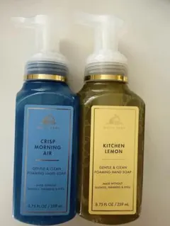 Bath & Body Works 泡ハンドソープ 2本セット