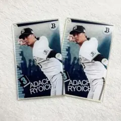 Item thumbnail for item fabd7bbd-f4f7-447a-b0b6-9d2509b9637e