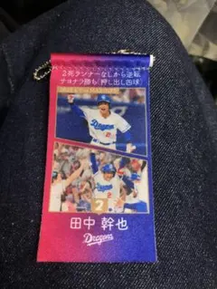 中日ドラゴンズ　メモリータペストリー　ドラゴンズファンフェスタ　田中幹也選手