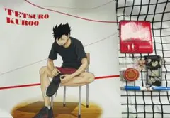 ハイキュー!! 音駒セット 黒尾鉄朗 孤爪研磨