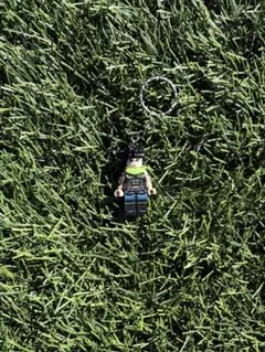 Item thumbnail for item 979bb03c-fd1f-4dc4-b73d-0468e2aa0584