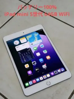バッテリー 100%【iPad mini 5世代 64GB WiFi】