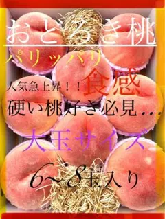 ＊冴＊様専用クール便追加