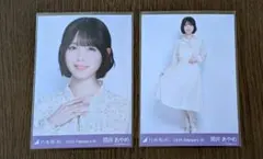 乃木坂46 2026年2月-Ⅳ 生寫真 筒井彩 उमेदवार 站姿・全身