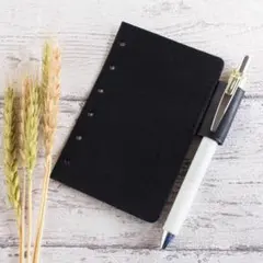 Item thumbnail for item 94866e19-6cc5-43b4-8ae1-922822475903