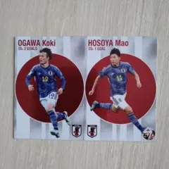 カルビーサッカー日本代表カード各種