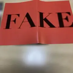 모리 타츠야 감독 영화 "FAKE"의 브로셔와 플라이어