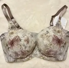 ワコール D75 ハグするブラ ここちよさ続く3/4カップブラ