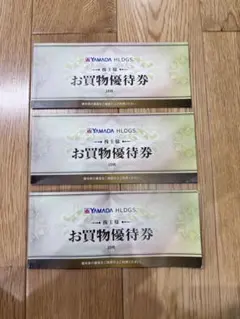 ヤマダ電機 12000円分 お買物優待券 株主優待券　24枚