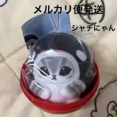 モフサンド　海の生き物にゃんコロぬい　シャチにゃん　新品未開封品　ガチャ販売