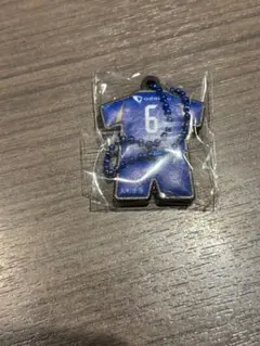 FC町田ゼルビア 望月ヘンリー海輝 ラバーユニフォームキーホルダー1st