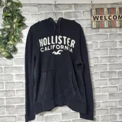 HOLLISTER ホリスター パーカー M ネイビー ロゴ刺繍 フーディー