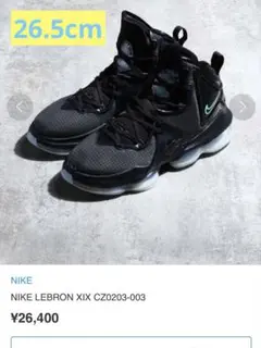 2025年最新】lebron19の人気アイテム - メルカリ