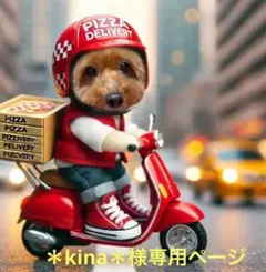 ＊kina＊様専用ページ②