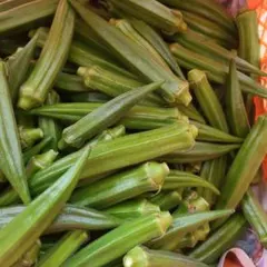 新鮮オクラ 産地直送 野菜のサムネイル