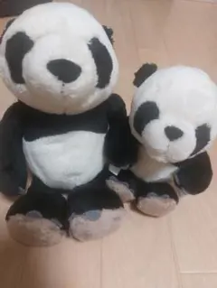 Item thumbnail for item cb3f81e1-411f-4873-a364-f01bd3c804d7