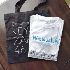 Item thumbnail for item b3224829-e9d8-4f52-9249-19d1f3fc1771