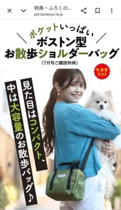 《新品•未開封》いぬのきもち ボストン型お散歩ショルダーバッグのサムネイル