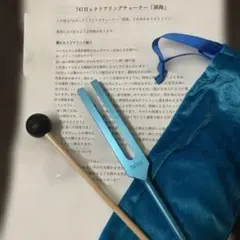 2025年最新】音叉チューナー マドモアゼル愛の人気アイテム