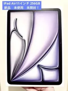 2025年最新】iPad air 11インチ 256の人気アイテム - メルカリ