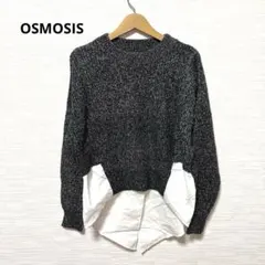 OSMOSIS（オズモーシス）シャツドッキング・レイヤード風ニットプルオーバー