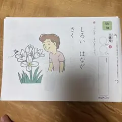 Item thumbnail for item c966e905-658e-4198-9ff5-405f4be6cdfb