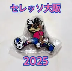 Item thumbnail for item 08a04598-4d31-49c8-89d1-b4fe94d3c9c7