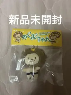 武知海青 がおちゃん