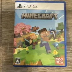 PS5 Minecraft マインクラフト
