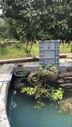HK-50GC 水質浄化装置 - メルカリ