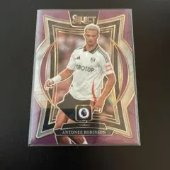 PANINI SELECT 24-25 アントニー・ロビンソン /140