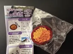 Item thumbnail for item 9e7ab457-38d6-4213-958e-363453aa0c5c