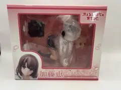 冴えない彼女の育て方 加藤恵　ANIPLEX