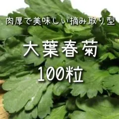 プロフィール必読様 リクエスト 4点 まとめ商品