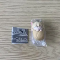 【匿名配送】ヒロアカ　おくるみますこっとチャーム　ガチャガチャ　爆豪勝己