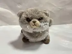 サンレモン フラッフィーズ マヌルネコのサムネイル