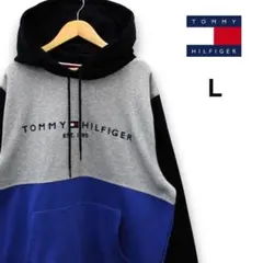 USA限定トミーヒルフィガー 高品質刺繍パーカー/TT106Lのサムネイル