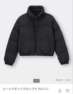 Item thumbnail for item 4fc145f9-724c-4905-83de-32fd5aae7f80