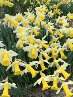 taka310115様 リクエスト 2点 まとめ商品