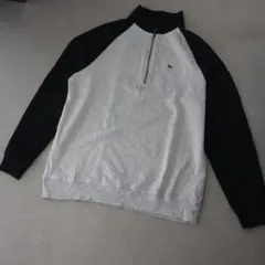 The Black Dog ハーフジップ　スウェット　ワンポイント